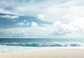 tropical beach