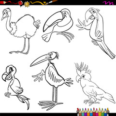 birds cartoon coloring page