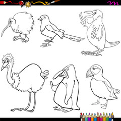 birds cartoon coloring page