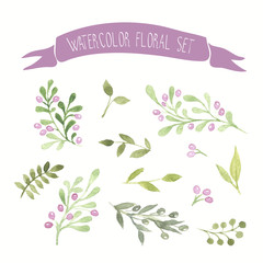 Olive colored watercolor vector floral set