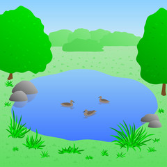 Lake with ducks, vector illustration - 85126241