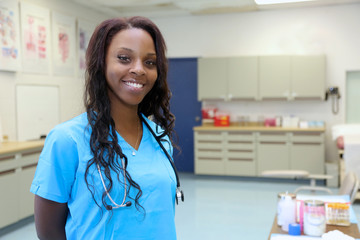 Room View, Medical Clinic, Young Attractive African American Female Healthcare Professional, with copy space - 85126405