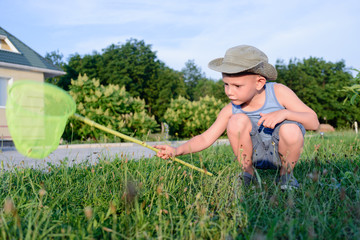 Young Boy with Bug Net Exploring Long Grass