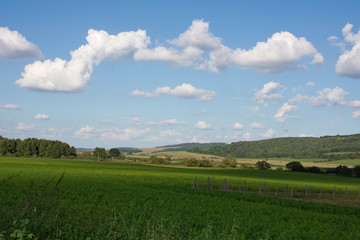 Hungarian landscape