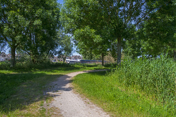 Footpath through a sunny forest along a canal