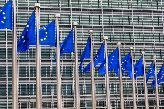 European flags  in Brussels