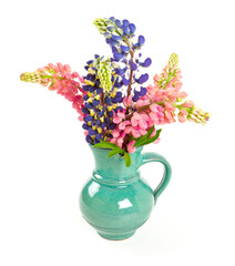 colorful lupine flowers isolated on white