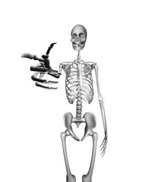 Skeleton Pointing.