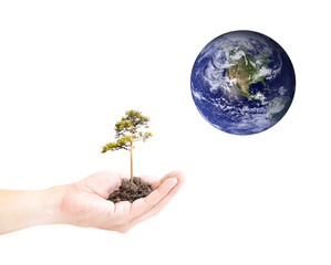 Human hand holding global in soil with green tree for EARTH CARE