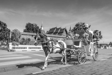Naklejka na ściany i meble Horse carriage front of Wat Phrathat Lampang temple