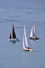 Obraz premium sailing