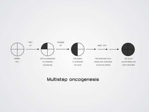 Multistep oncogenesis