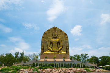 Buddha's Naga