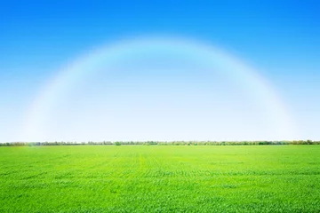 Papier Peint photo Campagne Green grass field and blue sky with rainbow