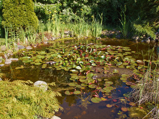 Fototapete bei efototapeten.de bestellen   