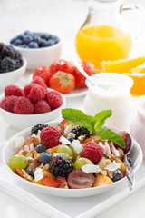 fruit salad in a bowl and various yoghurt, vertical