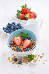 healthy food - granola, fresh berries and milk