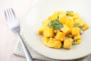 Fresh Mango Salsa