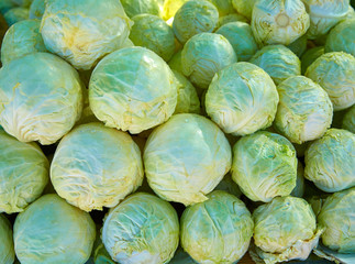 Fototapeta na wymiar cabbage pattern texture stacked in market