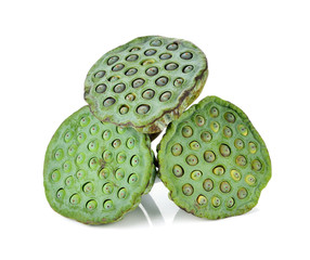 Lotus seeds green isolated on white.