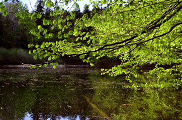 jeziorko © wedrownik52