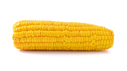 Corn isolated on a white background