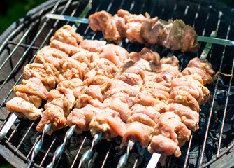 Tasty shashlik on round grill.