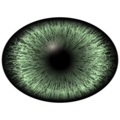 Elliptic realistic green iris, light reflection in eye