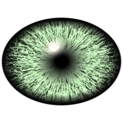 Elliptic realistic green iris, light reflection in eye