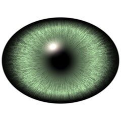 Elliptic realistic green iris, light reflection in eye