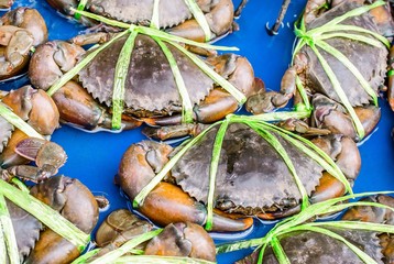 Crabs tied and display in seafood market / Outdoor view