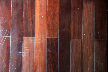 Parquetry / Floor decorating by paving parquet