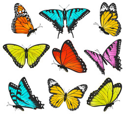 Set of colorful butterflies vector illustration - obrazy, fototapety, plakaty