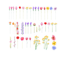 Floral set of graphic elements