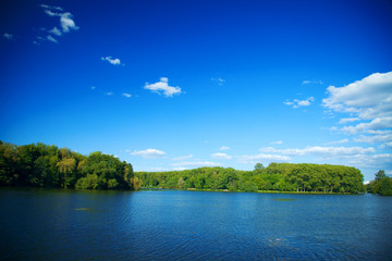 Obraz premium River flowing in the woods on a sunny summer day.