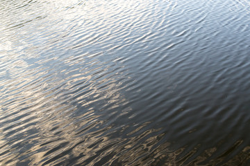 Water Ripples on a Village Pond