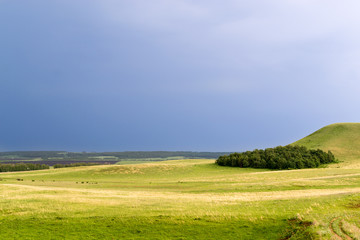 Wood Copse on a Hill