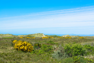 Landschaftsbild Insel Römö, Dänemark