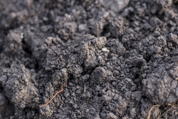 Soil /  Texture of soil, closed up