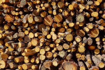 Firewood fire wook pattern texture