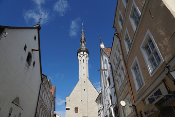 Obraz premium tallinn