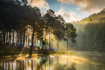 Tents on a tree lined river bank, Pang Ung, Thailand