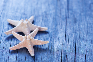 Fototapeta na wymiar starfish