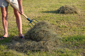 Work on a garden site