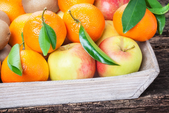 Blattclementinen, &Auml;pfel, Kiwis