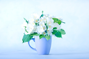 Fototapeta premium jasmine