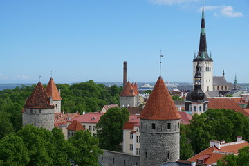 Fototapeta premium tallinn
