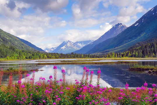 Fototapeta Alaska mountain range and reflecting lake on the Kenai peninsula