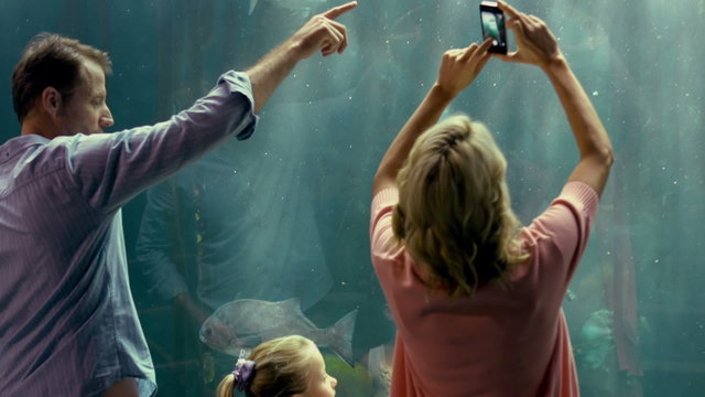Family pointing at fish in the aquarium