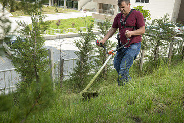 Gardener Mowing Lawn 